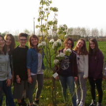 2016Piantimazione19