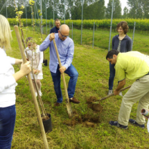 2015Piantumazione33