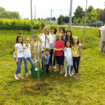 2015Piantimazione1