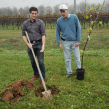 2016Piantimazione9