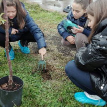 2016Piantimazione8