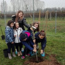 2016Piantimazione6