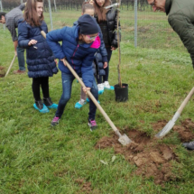2016Piantimazione2