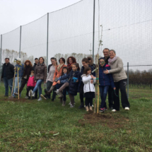 2016Piantimazione1
